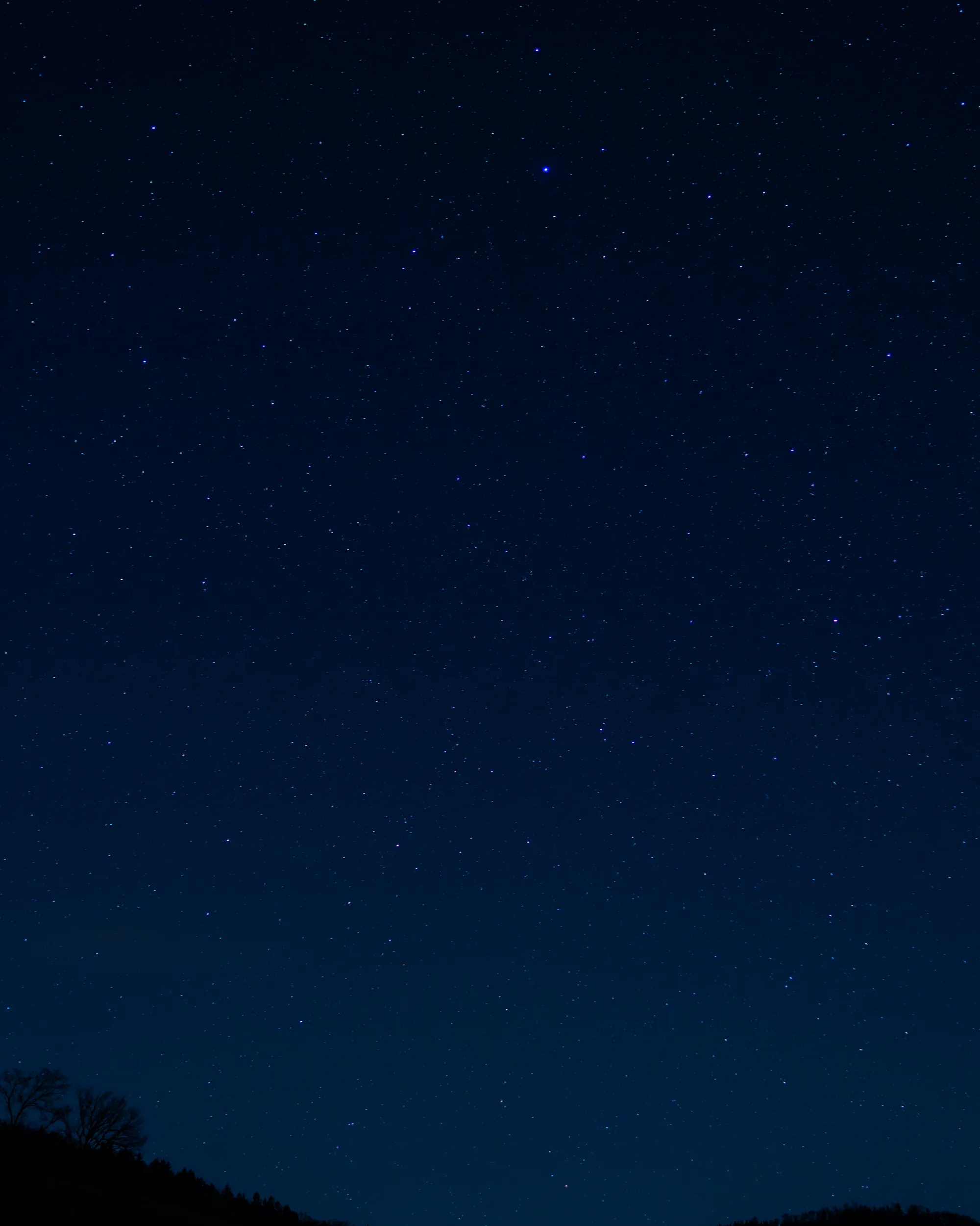 Portfolio Categories